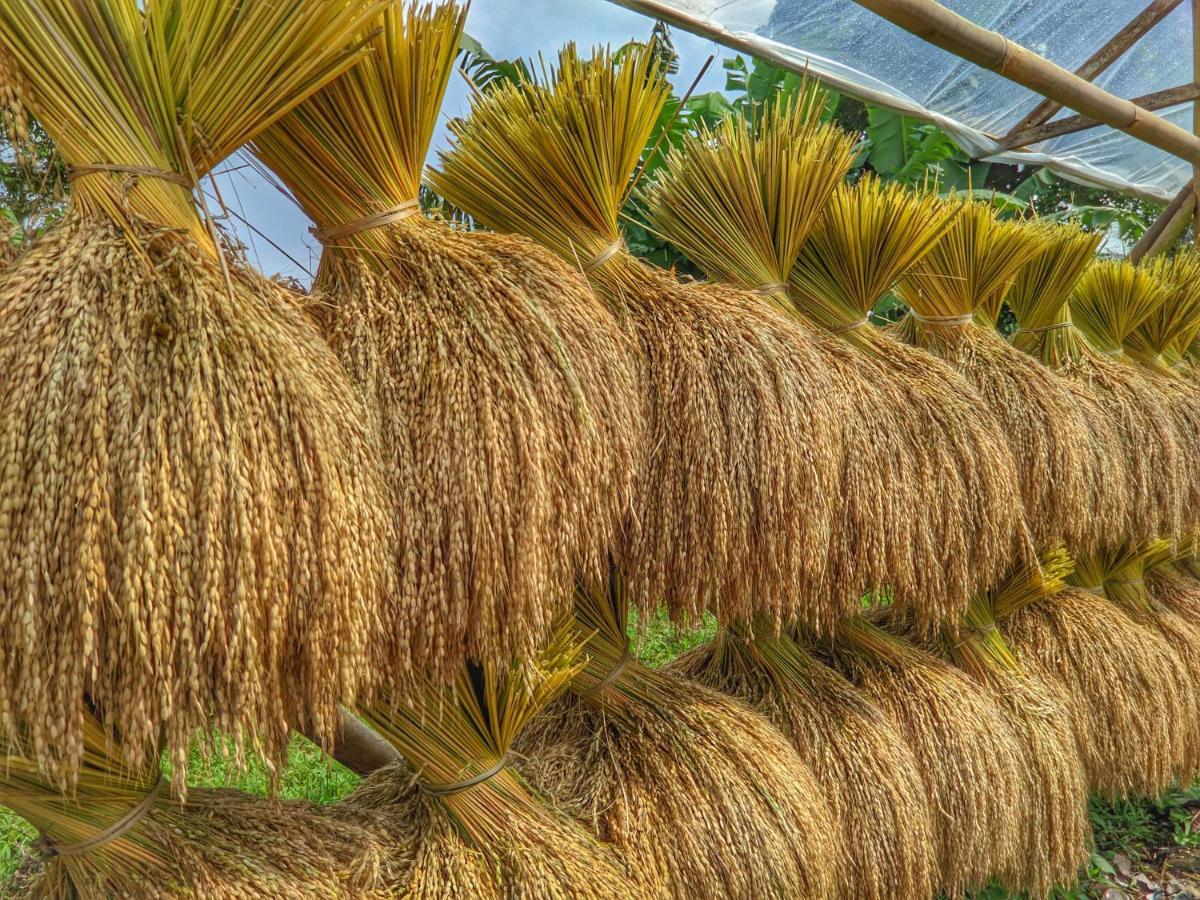 Farmstay Manangel Sindanglaka Ngoại thất bức ảnh