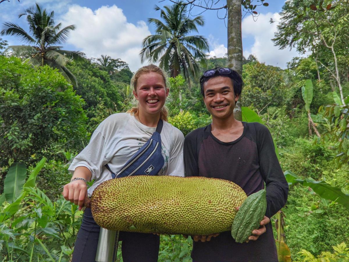 Farmstay Manangel Sindanglaka Ngoại thất bức ảnh