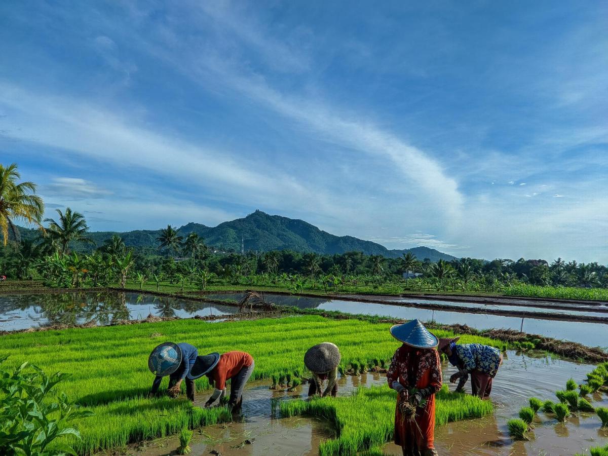 Farmstay Manangel Sindanglaka Ngoại thất bức ảnh