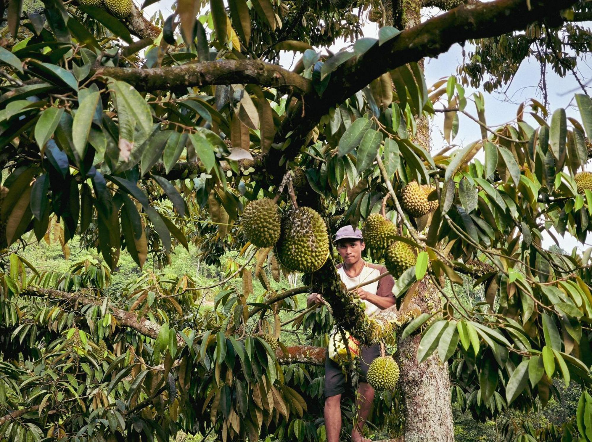 Farmstay Manangel Sindanglaka Ngoại thất bức ảnh
