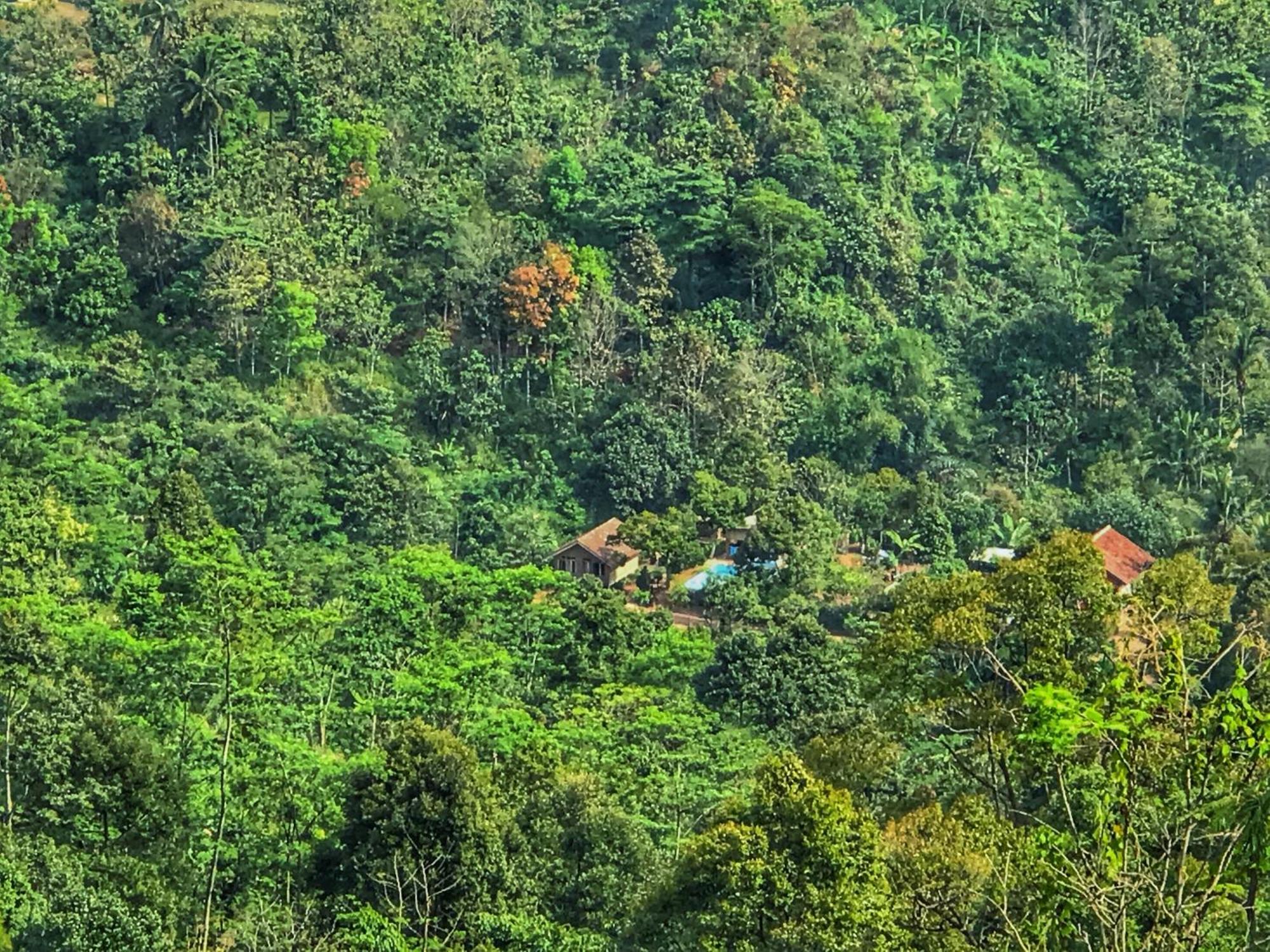 Farmstay Manangel Sindanglaka Ngoại thất bức ảnh